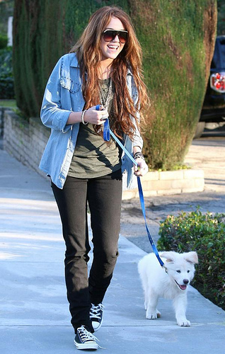 Miley-Cyrus-Puppy-Mate1